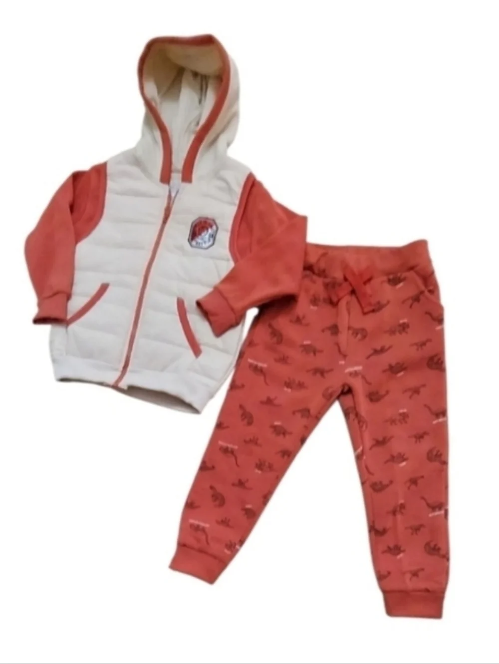 NWT Free Planet 2-Piece Dinosaur Jacket & Jogget Set ~sz 4T